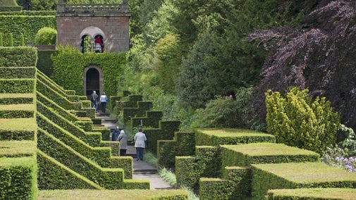 Visitors walk between geometrically clipped hedges in the Dahlia Walk in June at Biddulph Grange Garden, Staffordshire